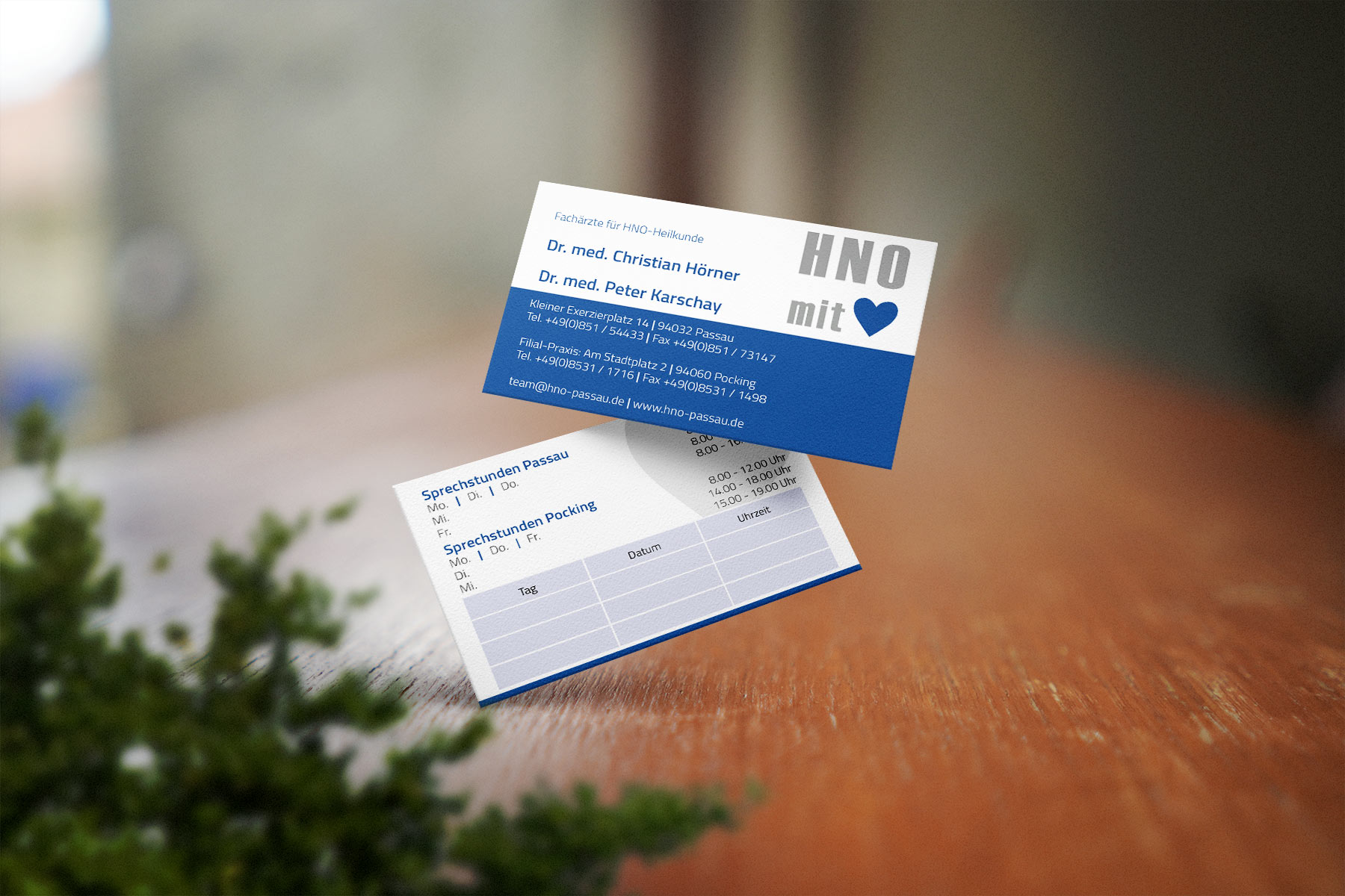 HNO Arzt Dr. Hörner | Gesundheit & Wohlbefinden | SEIDL Marketing & Werbeagentur - Webdesign Passau