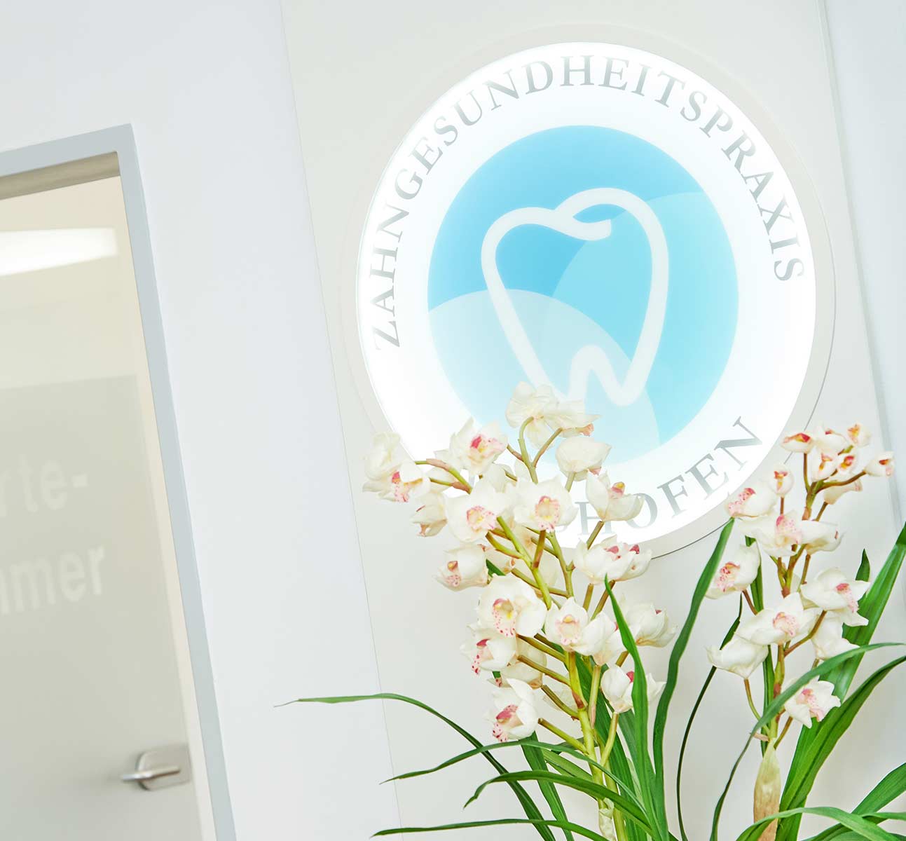 Zahnarztpraxis Dres. Pellkofer | Gesundheit & Wohlbefinden | SEIDL Marketing & Werbeagentur - Webdesign Passau
